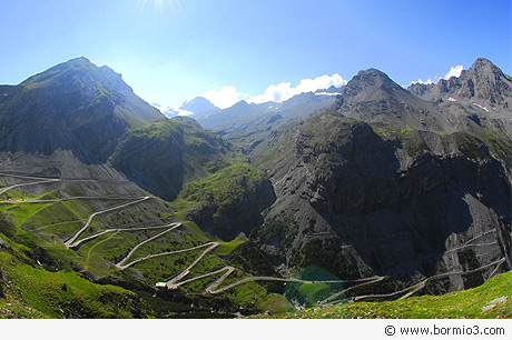 The Stelvio Road